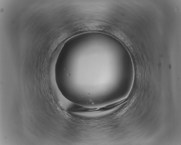 X0000072550481200607141256