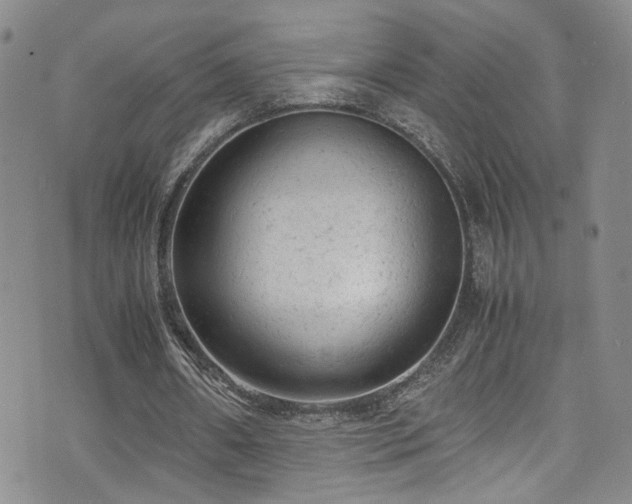 X0000072550482200607141256