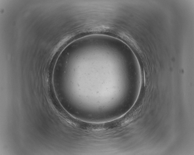 X0000072550483200607141256