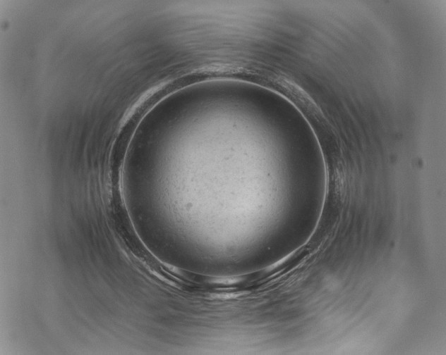 X0000072550484200607141256