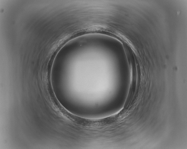 X0000072550485200607141256