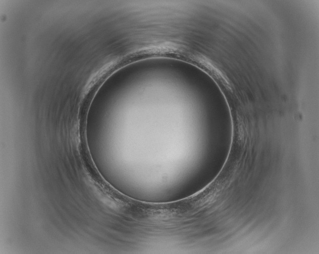 X0000072550486200607141256