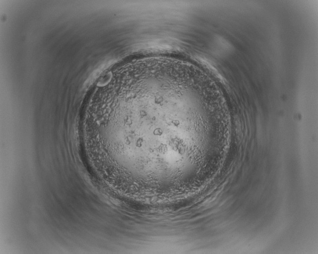 X0000072550487200607141256