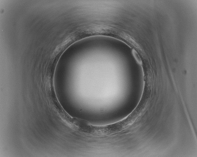 X0000072550489200607141256