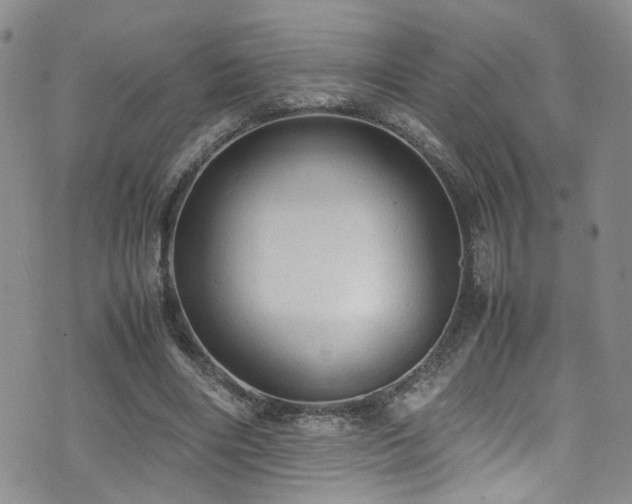 X0000072550490200607141256