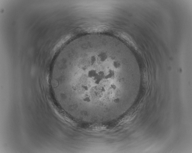 X0000072550491200607141256