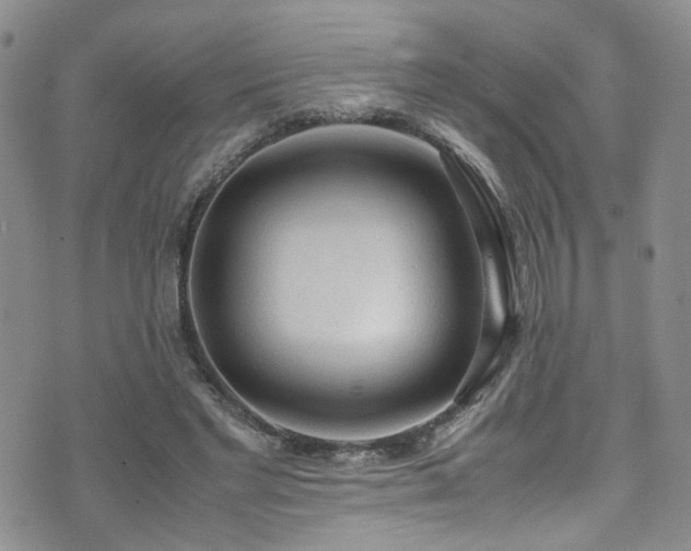 X0000072550493200607141256