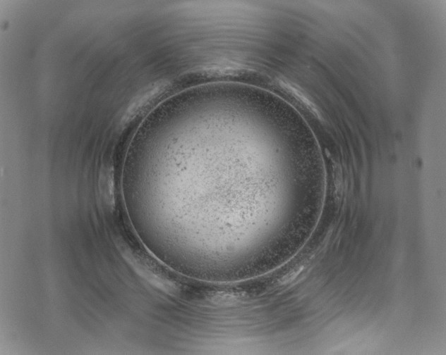 X0000072550494200607141256