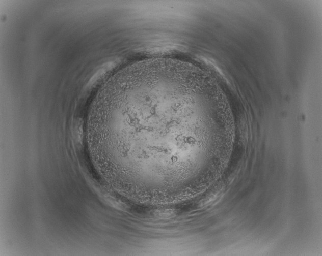 X0000072550495200607141256