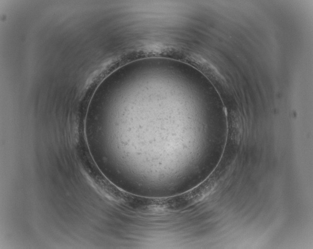 X0000072550496200607141256