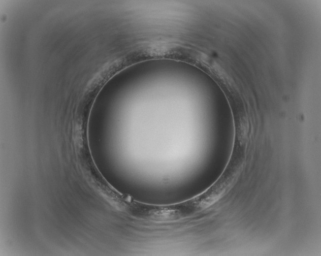 X0000072550497200607141256