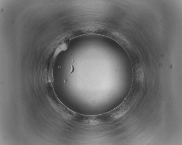 X0000072550498200607141256