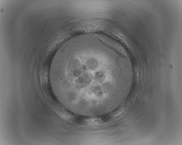 X0000072550499200607141256