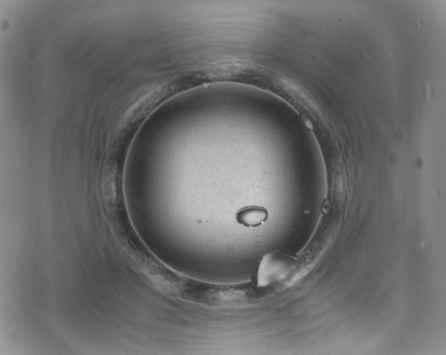 X0000072550501200607141256