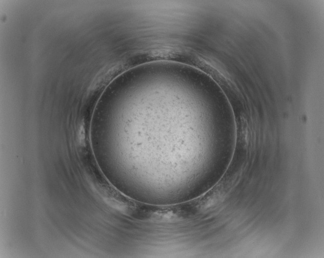 X0000072550502200607141256