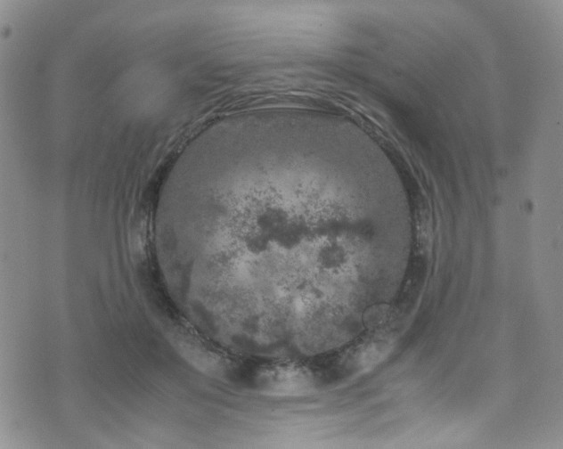 X0000072550503200607141256