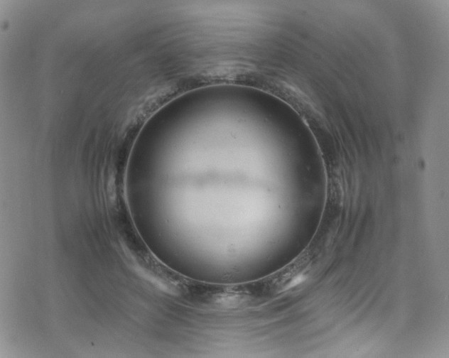 X0000072550504200607141256