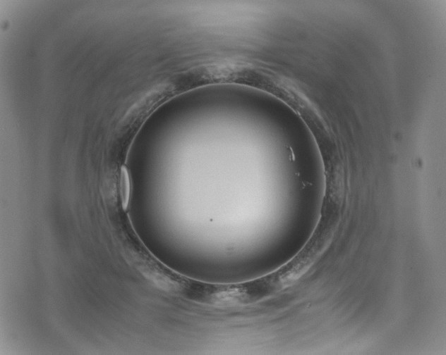 X0000072550505200607141256