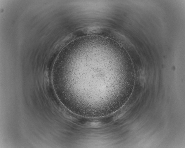 X0000072550506200607141256