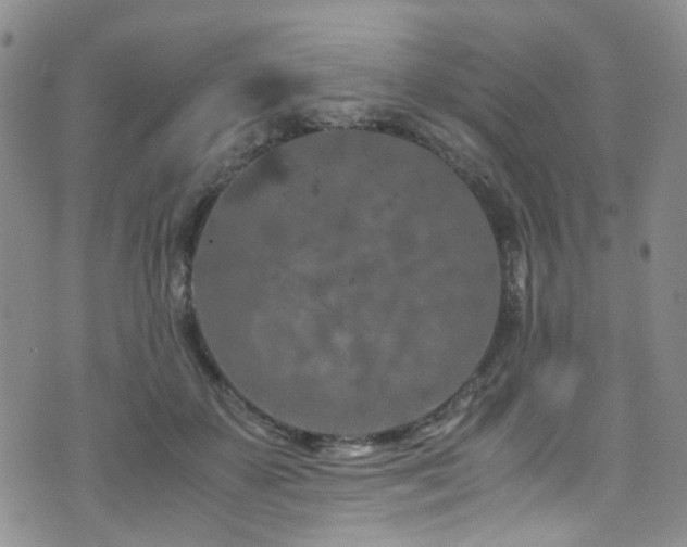 X0000072550507200607141256