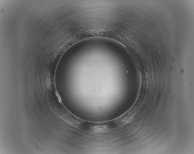 X0000072550508200607141256