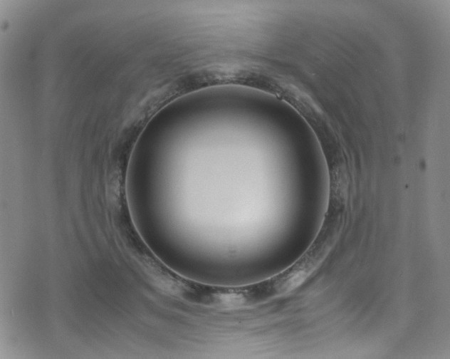 X0000072550509200607141256