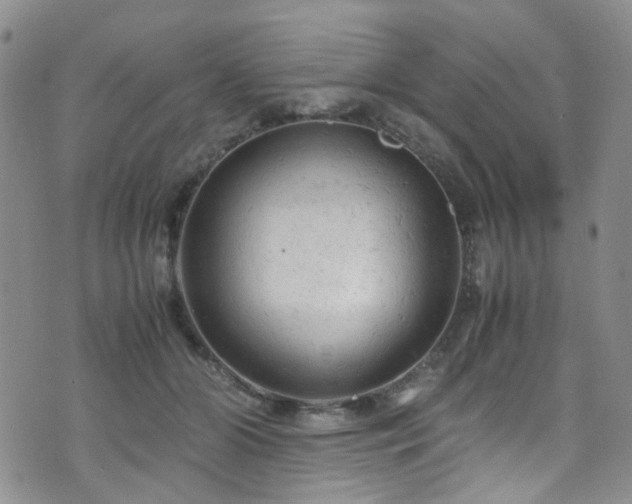 X0000072550510200607141256