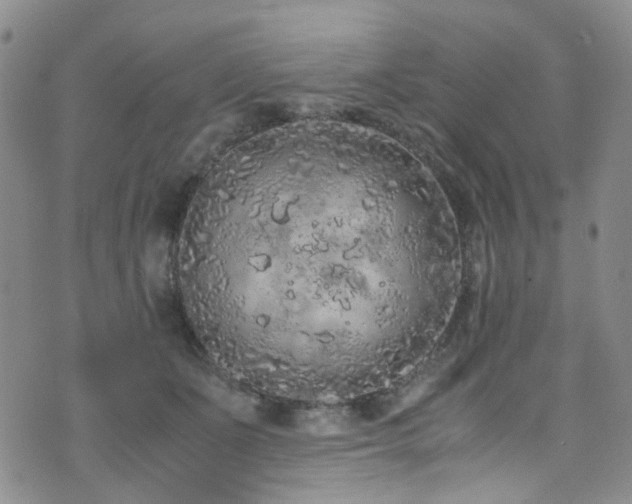 X0000072550511200607141256