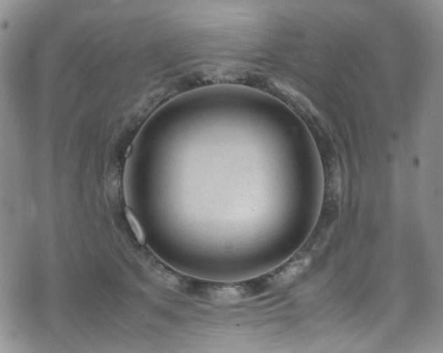 X0000072550513200607141256