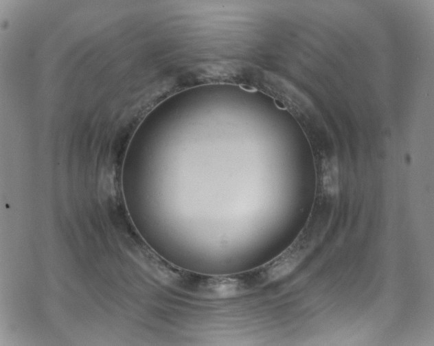 X0000072550514200607141256