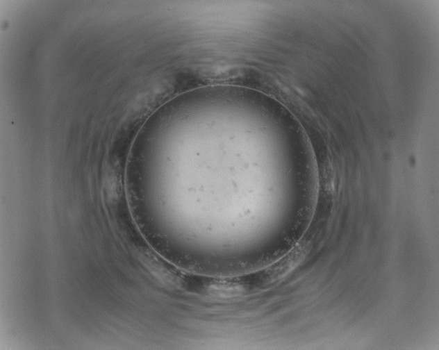 X0000072550515200607141256