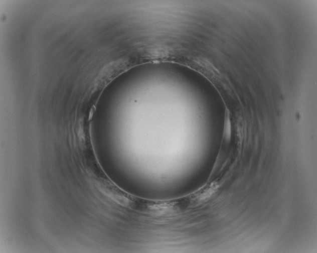 X0000072550516200607141256