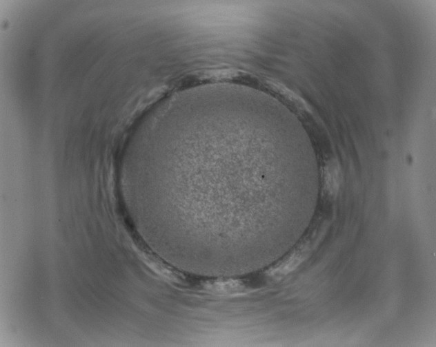 X0000072550517200607141256