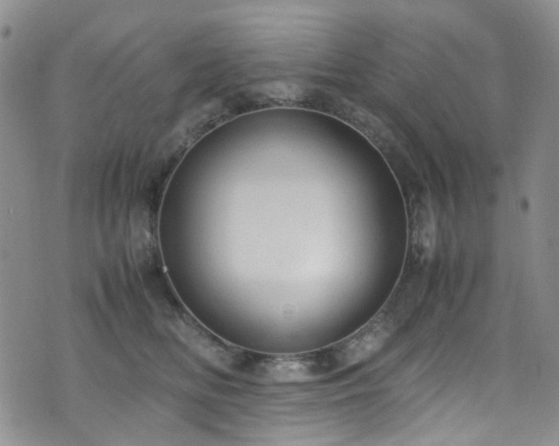 X0000072550518200607141256