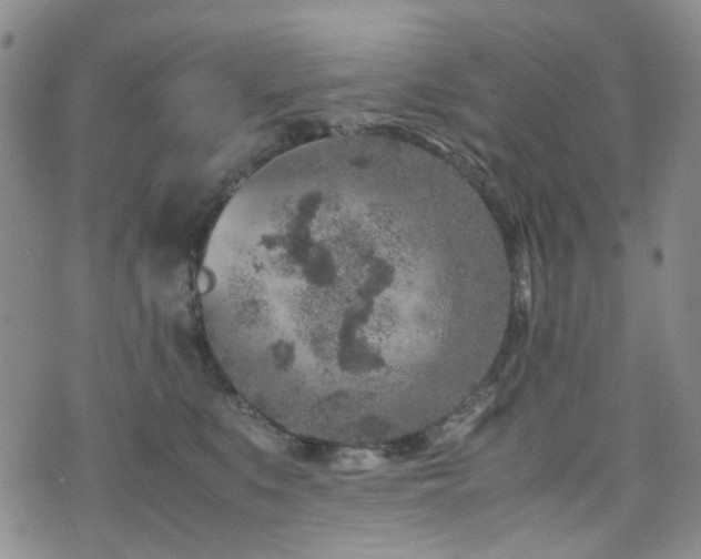 X0000072550519200607141256