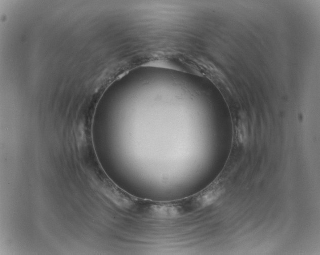 X0000072550520200607141256