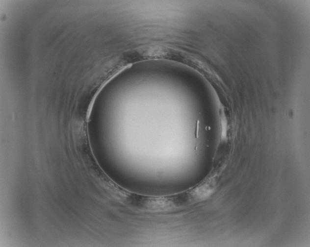 X0000072550521200607141256