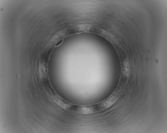 X0000072550522200607141256