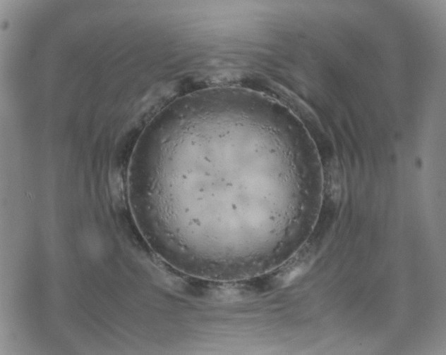 X0000072550523200607141256