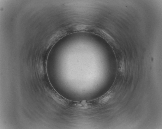 X0000072550524200607141256