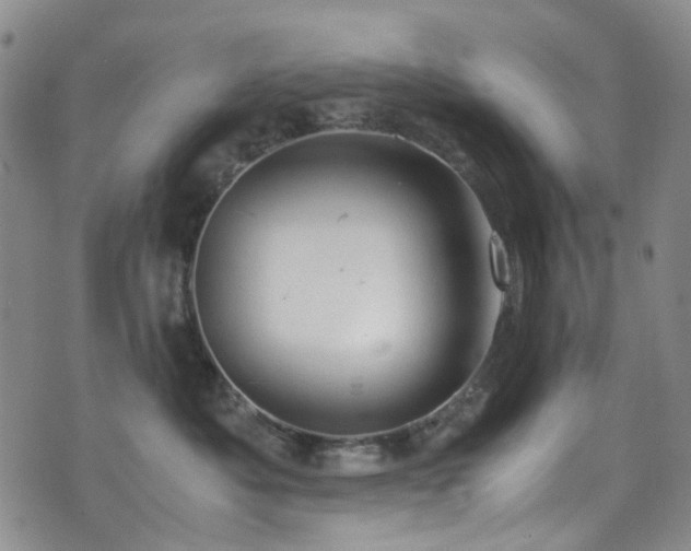 X0000072550525200607141256