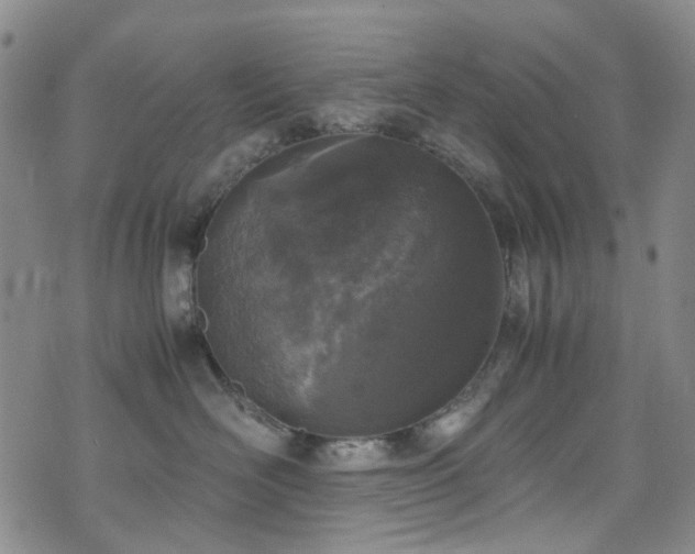 X0000072550526200607141256