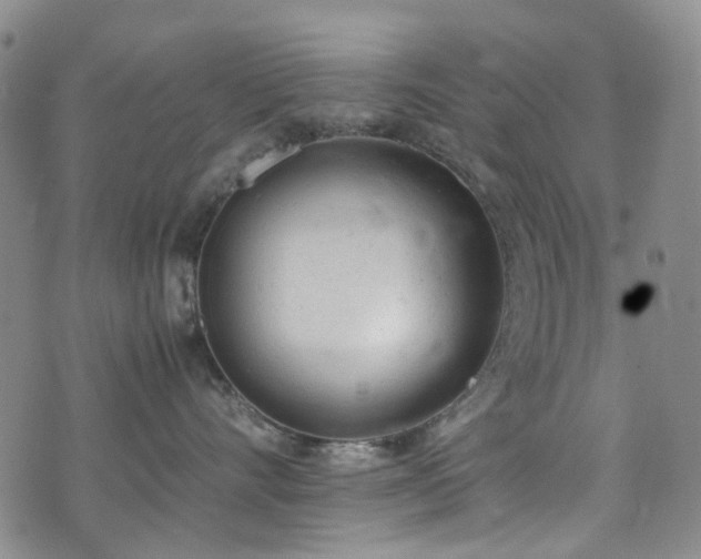 X0000072550528200607141256