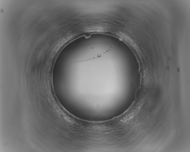 X0000072550529200607141255