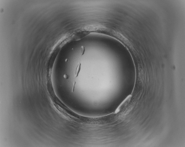 X0000072550530200607141255