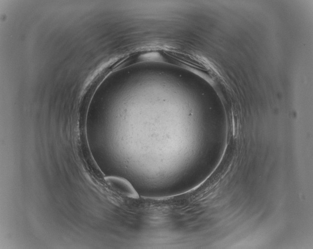 X0000072550531200607141255