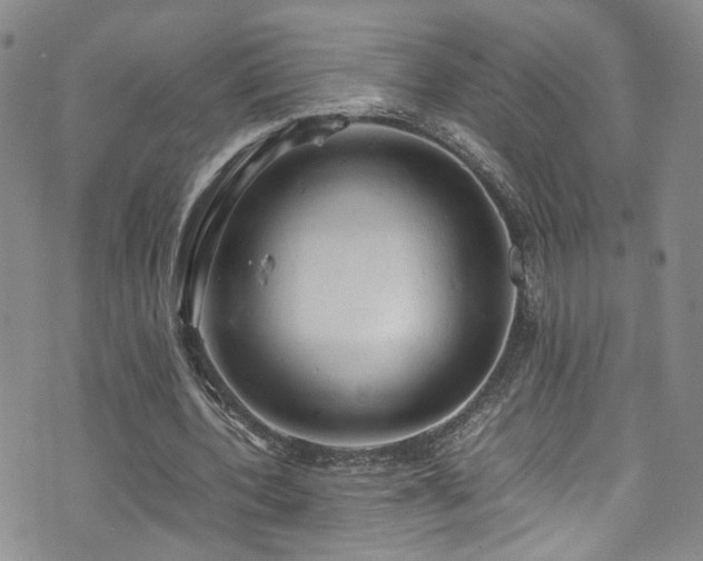 X0000072550532200607141255