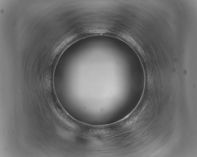 X0000072550533200607141255