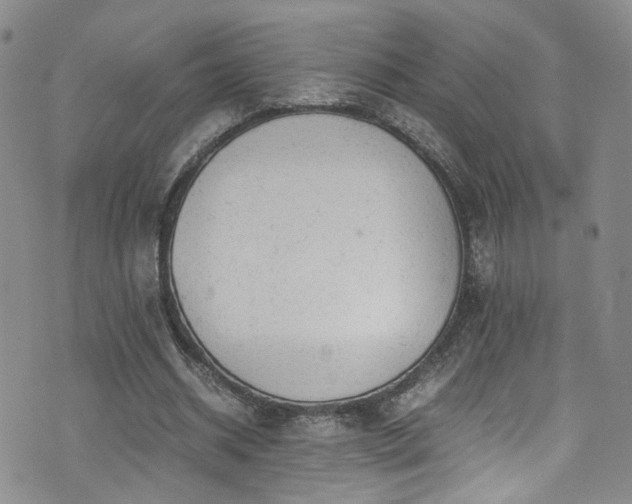 X0000072550534200607141255