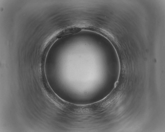 X0000072550535200607141255